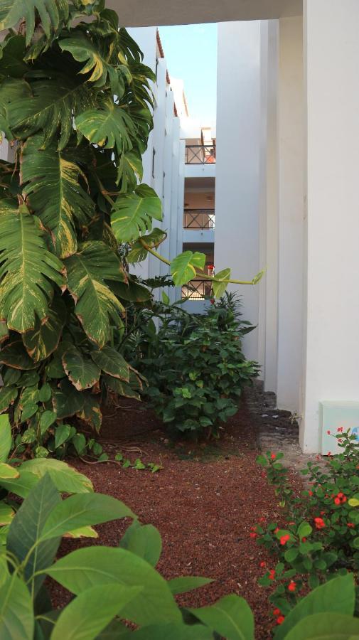 Apartamento en Tenerife Sur, Parque Santiago 2 Arona  Luaran gambar