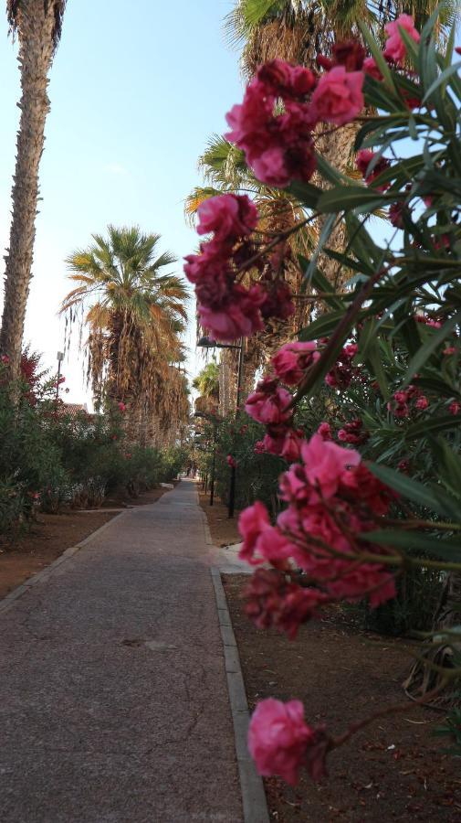 Apartamento en Tenerife Sur, Parque Santiago 2 Arona  Luaran gambar